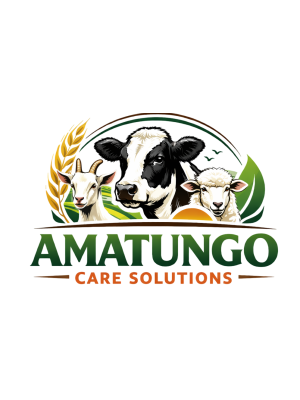 Kabera Vianney, Amatungo Care Solution